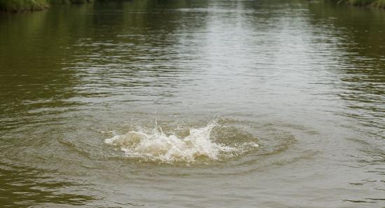 Nine-Year-Old Girl Killed in Crocodile Attack